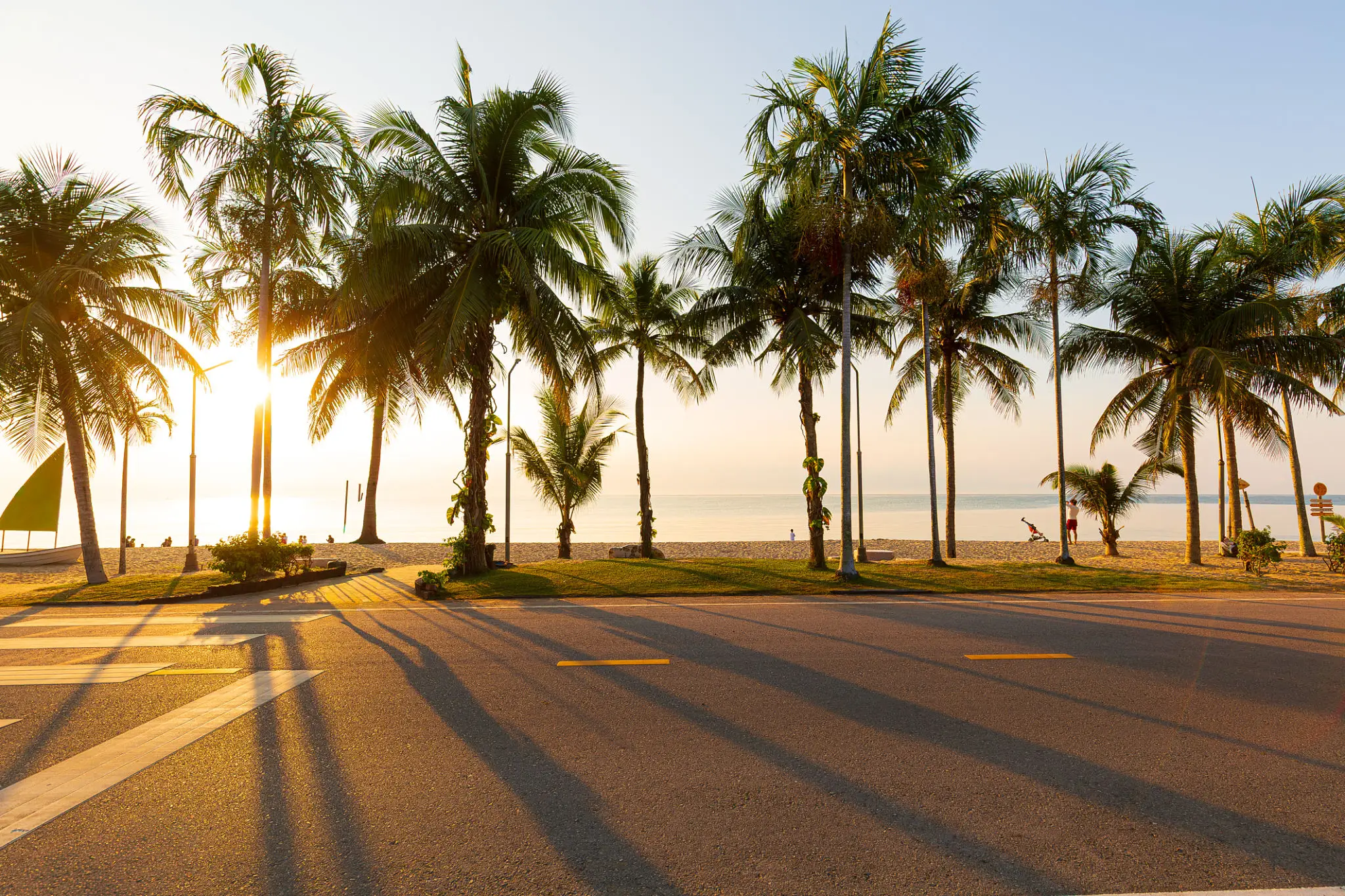 Beachfront road lined with palm trees